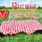 Picnic Vegamoroso