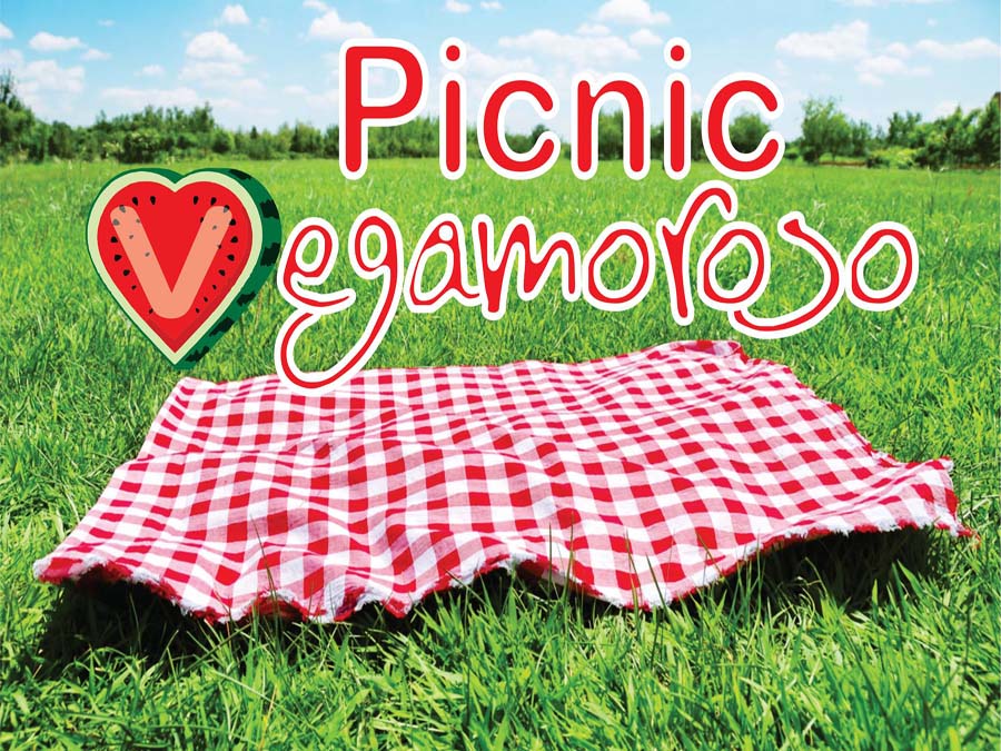 Picnic Vegamoroso