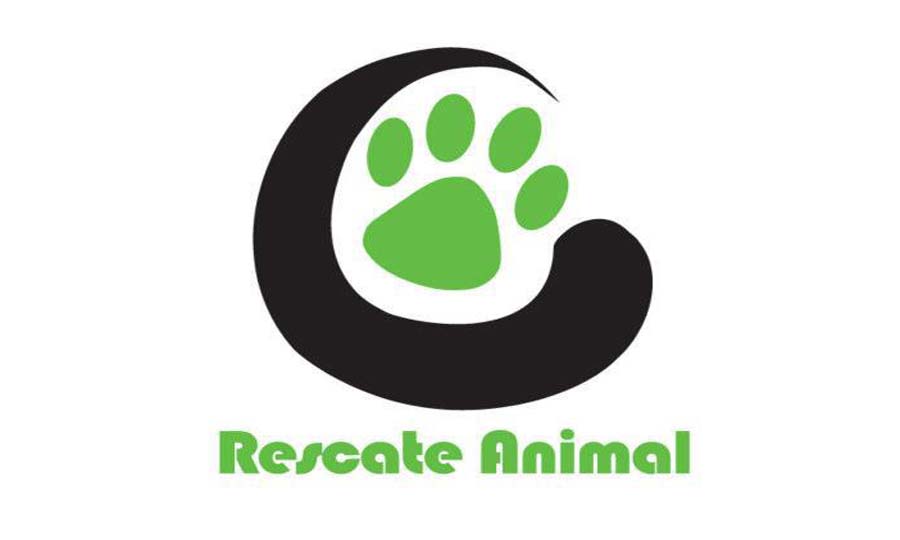 rescate-animal