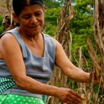 Mujeres campesinas e indígenas, agricultura y cambio climático