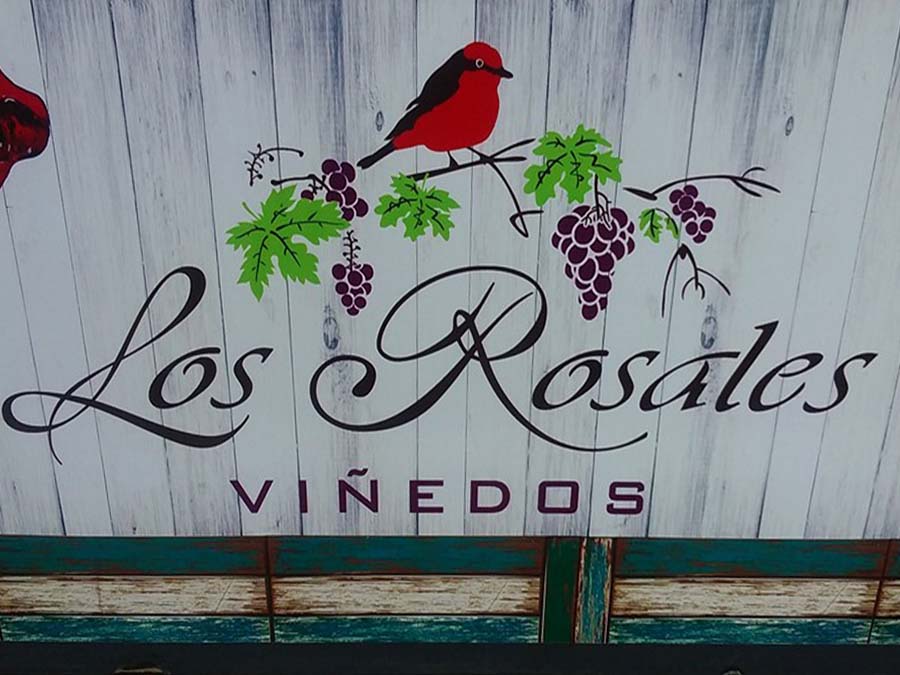 Viñedos Los Rosales