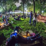 Experiencia de los picnics nocturnos en el Jardín Botánico de Chapultepec