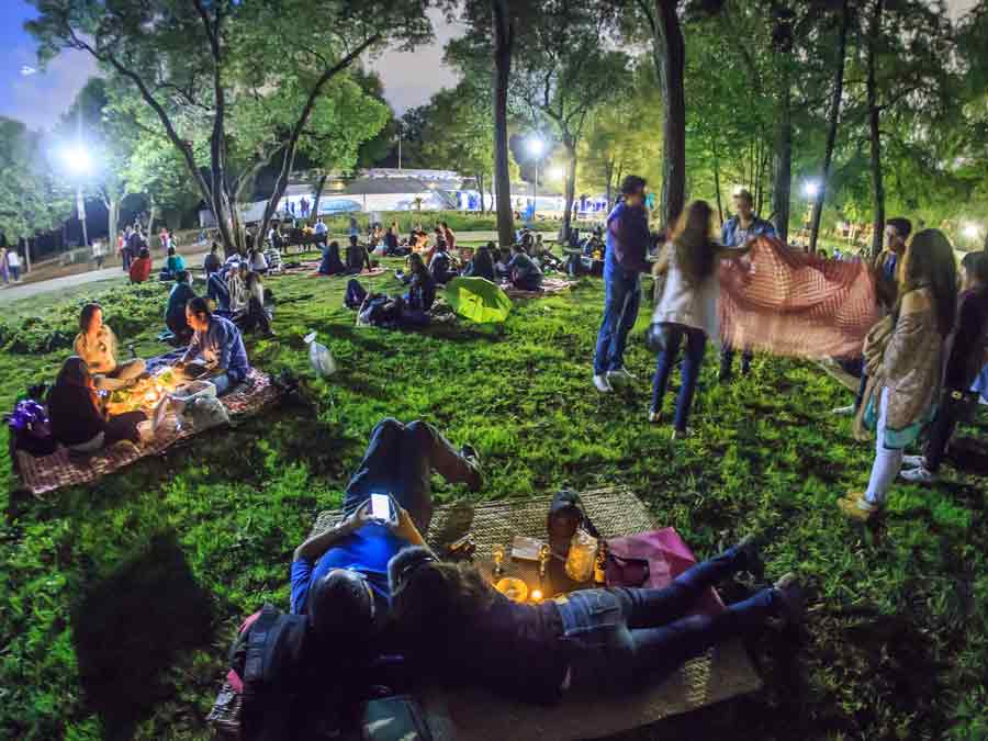 Experiencia de los picnics nocturnos en el Jardín Botánico de Chapultepec