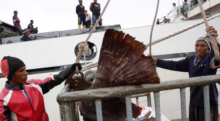 Seafood from Slaves, una investigación sobre pescadores y esclavismo ganó el Pulitzer