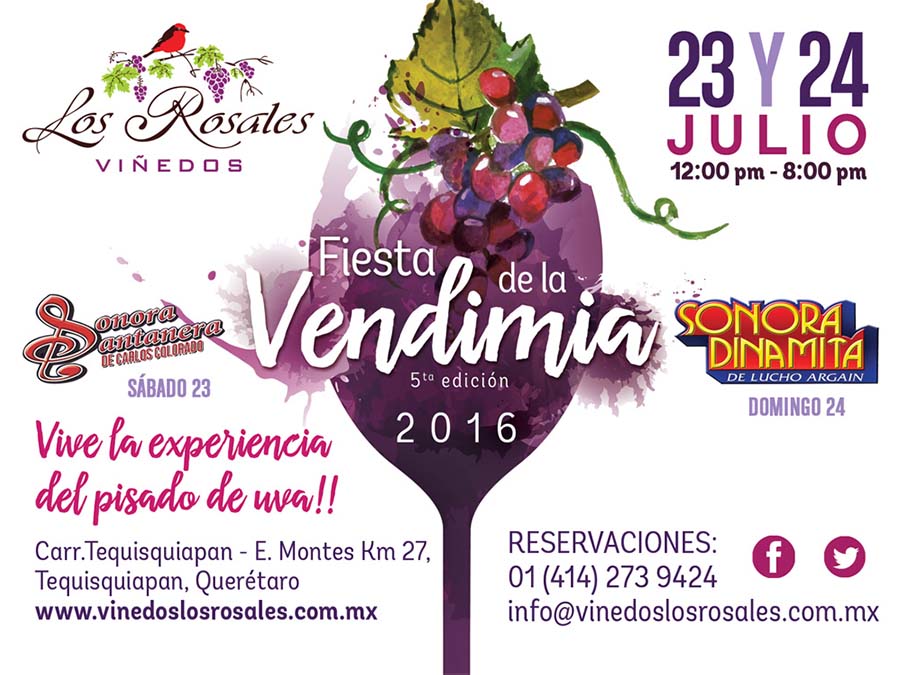 Festival de la Vendimia en Viñedos Los Rosales