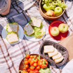 Picnic vegano en el Parque de los Venados