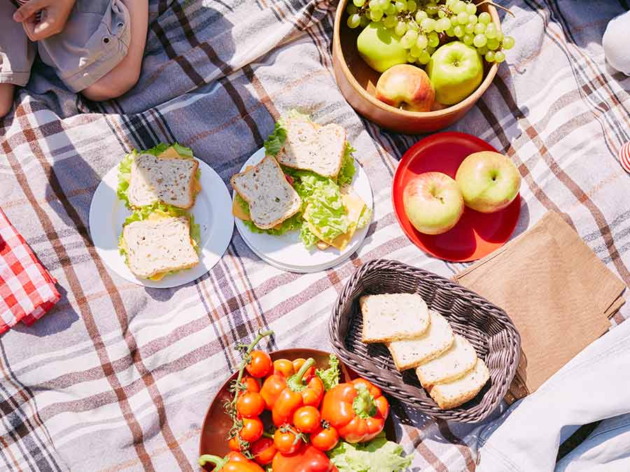 Picnic vegano en el Parque de los Venados