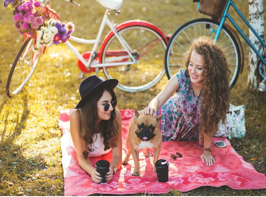 Un bazar para las mascotas y sus dueños