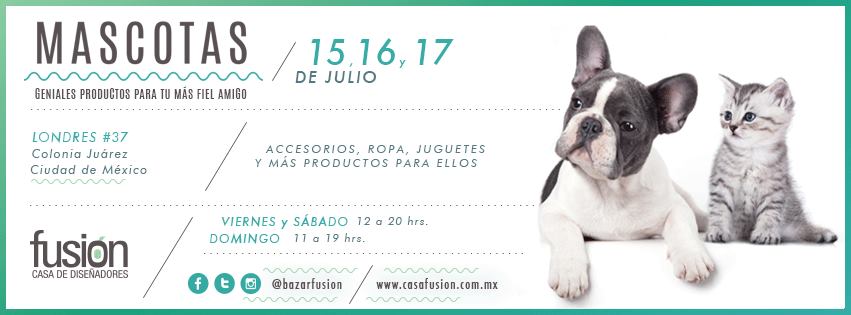 Encuentra todo tipo de accesorios para tu mascota en este bazar