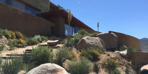 Monte Xanic, dos generaciones de vino mexicano de calidad en el Valle de Guadalupe