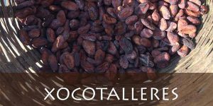 Talleres de chocolate de Xocolattes Los Carrerantes en San Cristóbal de las Casas