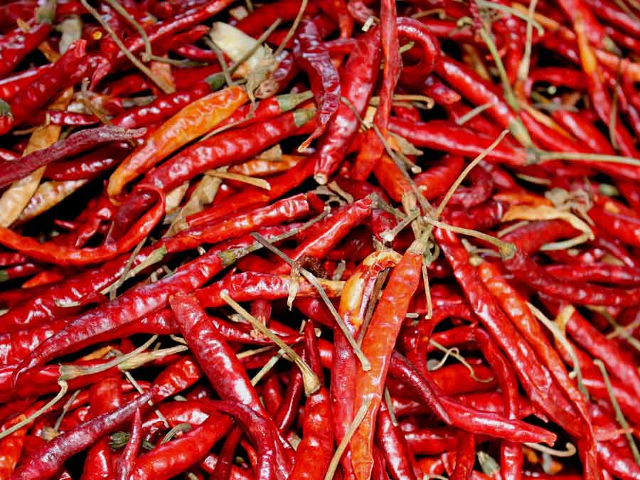 Fiesta de todos los chiles mexicanos en Yahualica, Jalisco