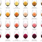 Infografía sobre el color del vino