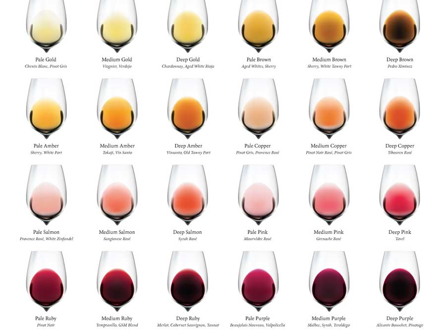 Infografía sobre el color del vino