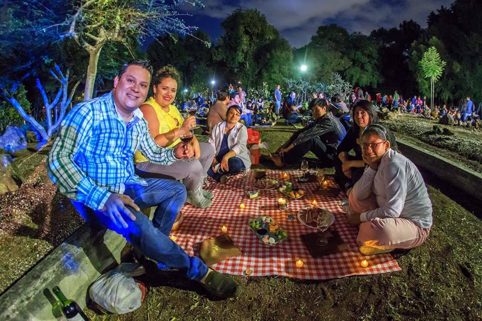 Picnic Nocturno 2018