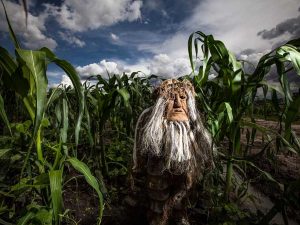 5 canciones sobre la milpa y sus derivados