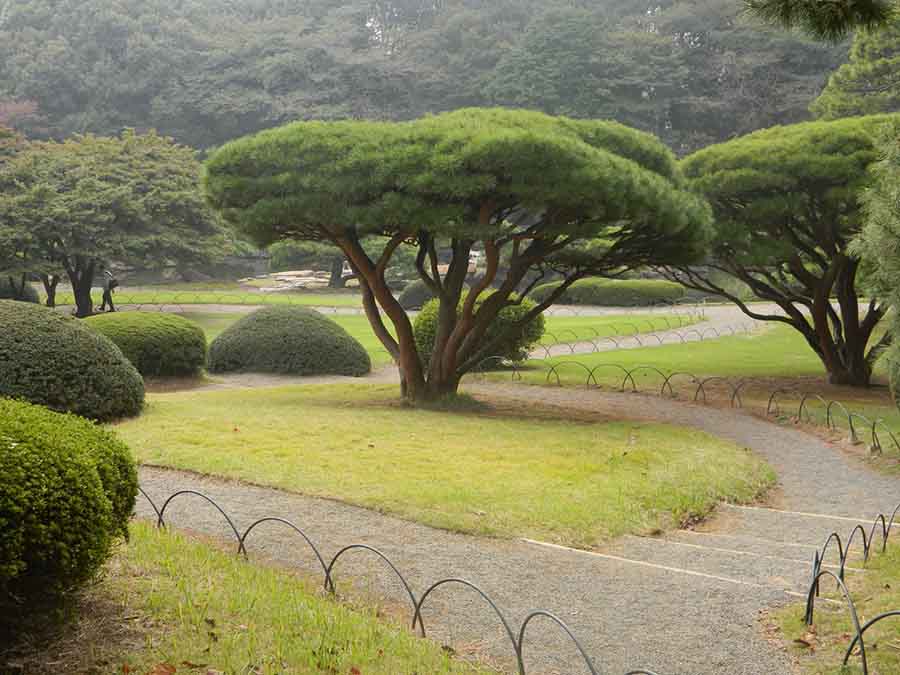 Shinjuku Gyouen