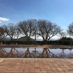 Centro de las Artes de San Agustín, ecología y arte van de la mano