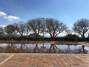 Centro de las Artes de San Agustín, ecología y arte van de la mano