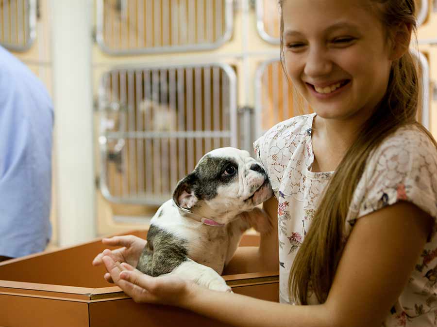 4 guarderías para perros, ¡que no se queden solos en casa!