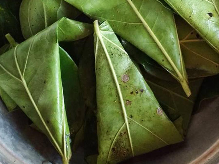 Tamal xoco o choco, platillo de fiesta en el Barlovento veracruzano