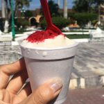 Ese helado de coco en Tlacotalpan