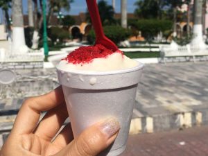 Ese helado de coco en Tlacotalpan