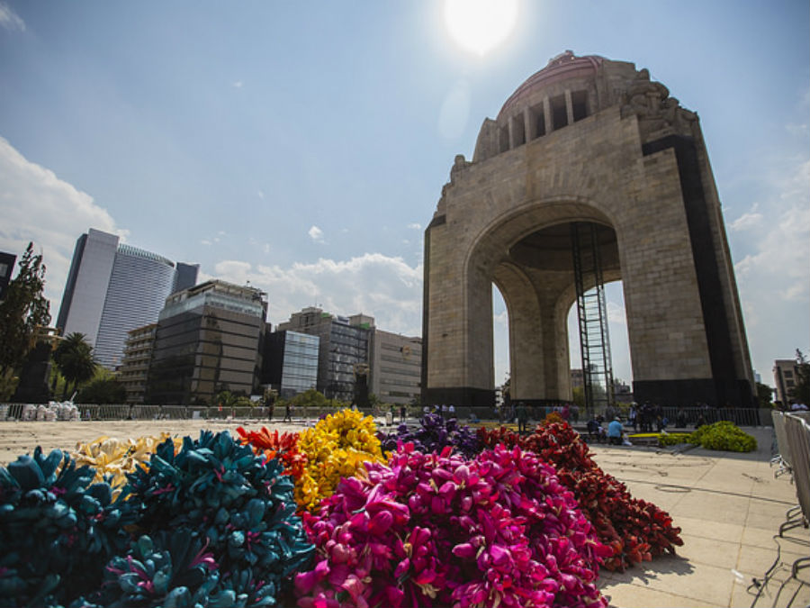 alfombra de flores monumento a la revolucion