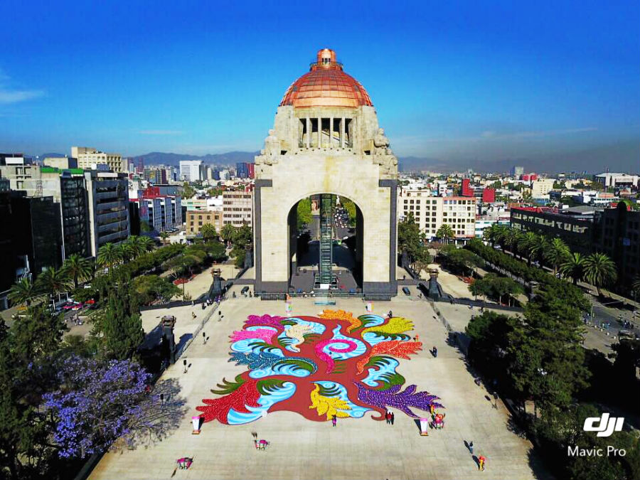 alfombra de flores monumento a la revolucion