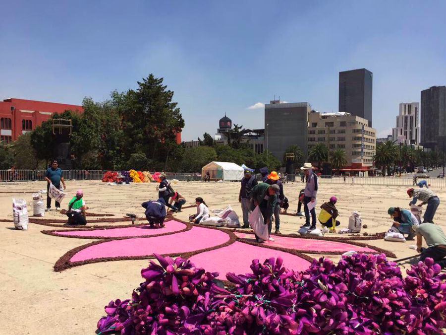 alfombra de flores monumento a la revolucion