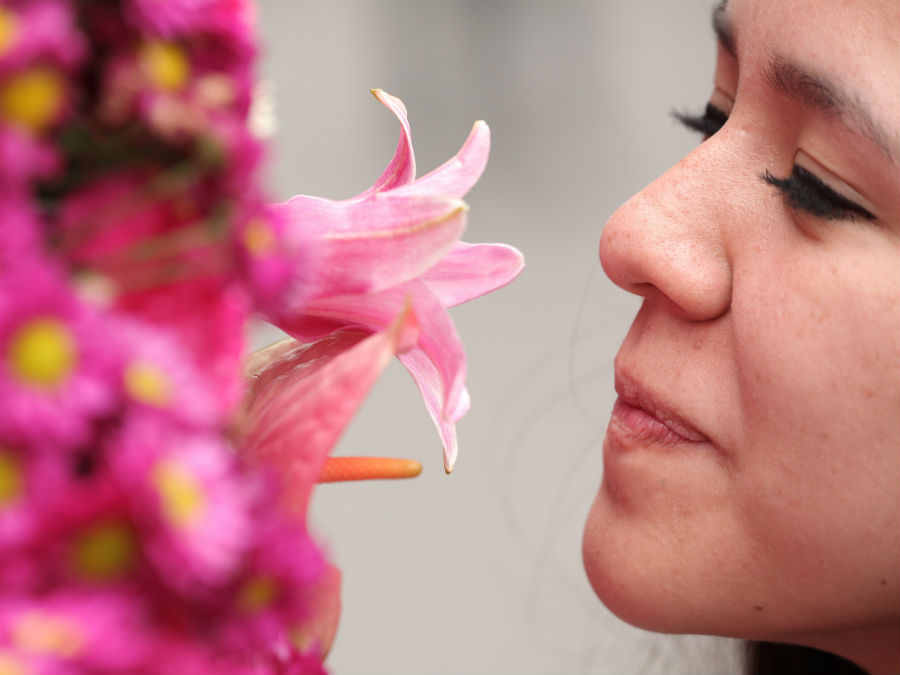 festival flores y jardines 2017