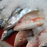 5 datos sobre pescados y mariscos mexicanos que quizá no sabías