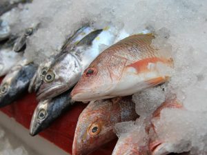 5 datos sobre pescados y mariscos mexicanos que quizá no sabías