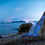 Lugares bioluminiscentes en México