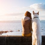 Lugares para vacacionar con perros