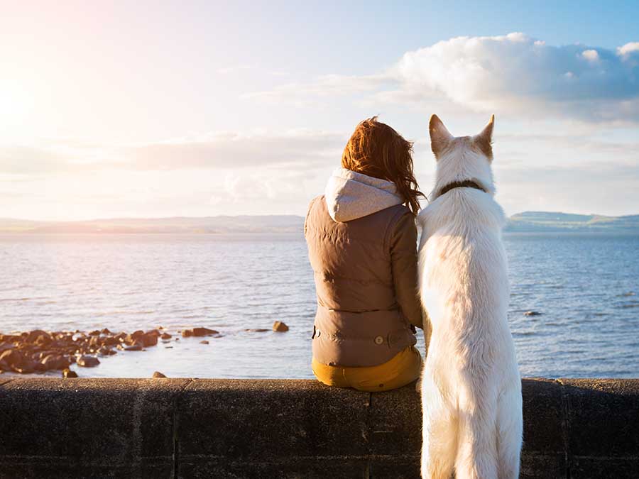 Lugares para vacacionar con perros