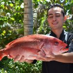 5 pescados que conocimos en Nayarit