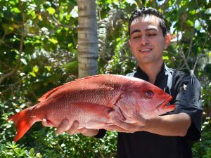 5 pescados que conocimos en Nayarit