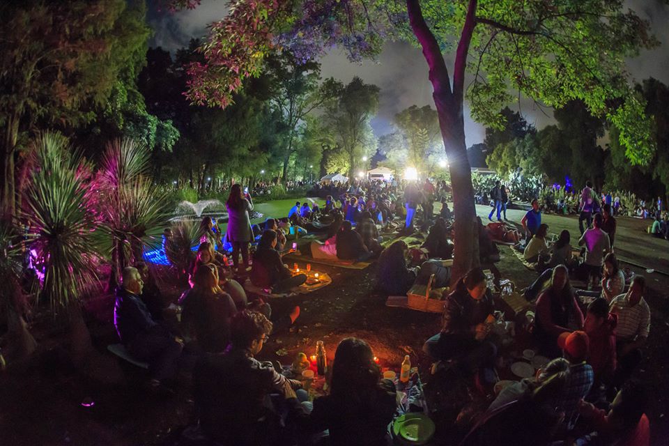 Picnic Nocturno 2018