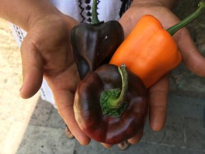 10 platillos para conocer un poco más a la gastronomía oaxaqueña