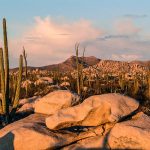 Cataviña Baja California, oasis en el desierto mexicano