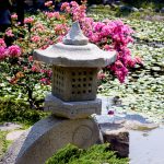 Así es el jardín estilo japonés que se encuentra en Morelos