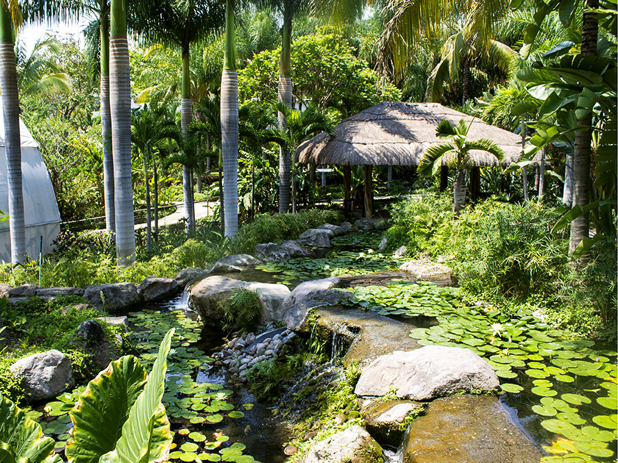 jardines de méxico