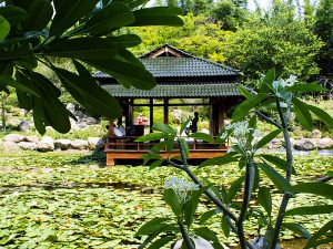 Se escribe ‘Jardines de México’ y se pronuncia ‘el jardín más grande del mundo’