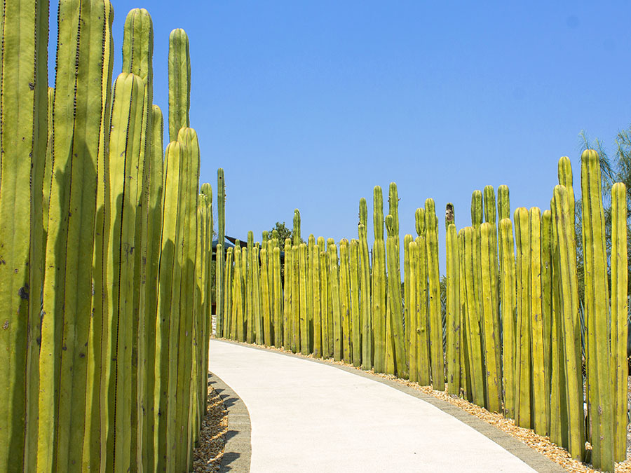 jardines de méxico