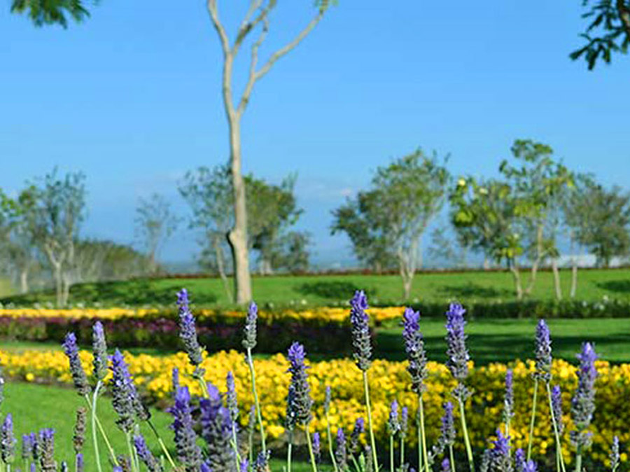 jardines de mexico