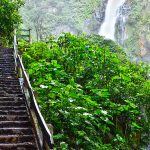 El salto de Quetzalapan