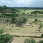 Pasado Huasteco en Tamuín