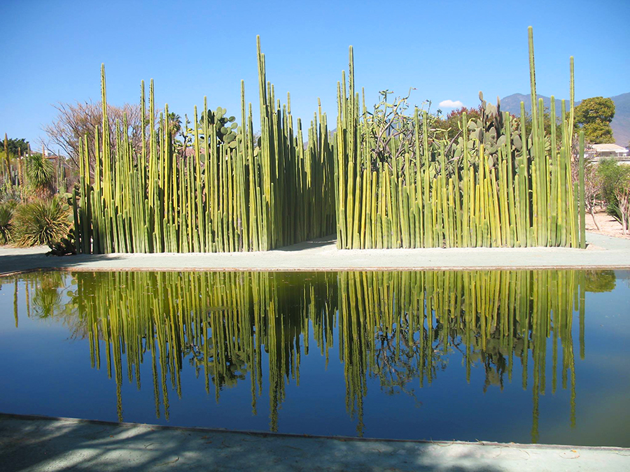 jardines botanicos en mexico