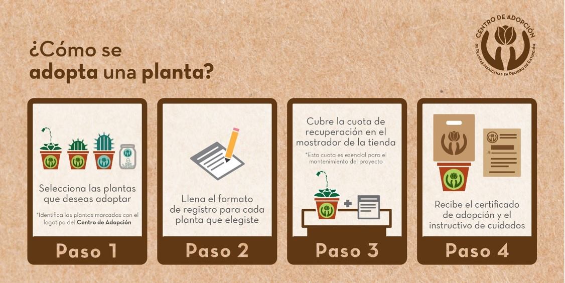 plantas mexicanas en riesgo que puedes adoptar